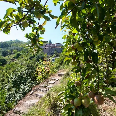 One Bedroom House With Terrace And Wifi At Caste * La Foce